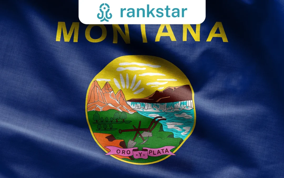 SEO Services In Montana