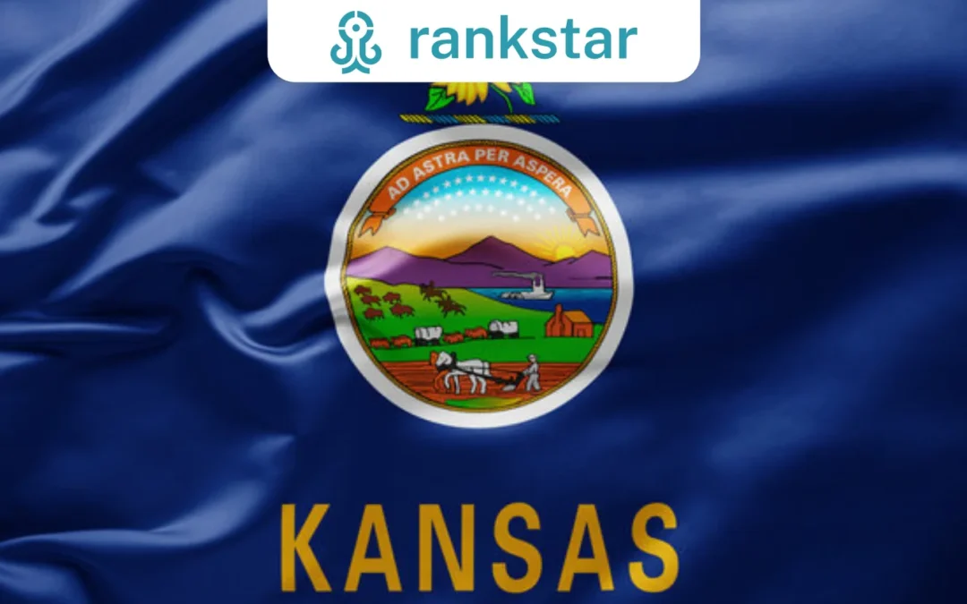 SEO Services In Kansas
