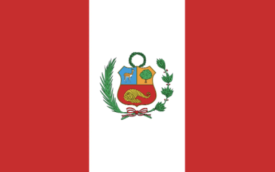 Best SEO Company in Peru
