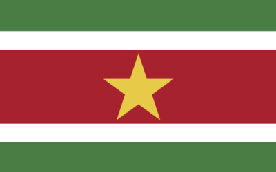 Best SEO Agency in Suriname