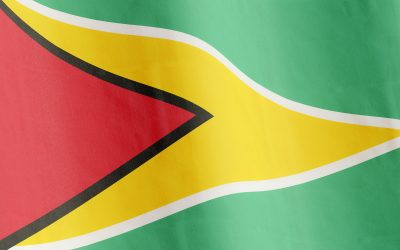Best SEO Agency in Guyana