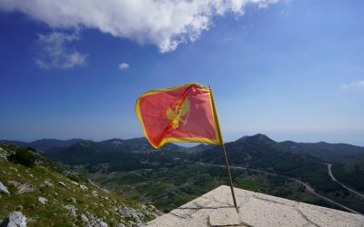 Best SEO Agency in Montenegro