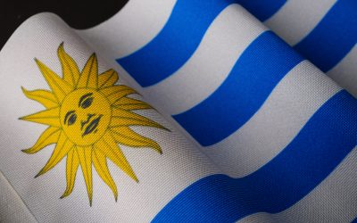 Best SEO Agency in Uruguay