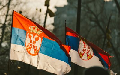 Best SEO Agency in Serbia