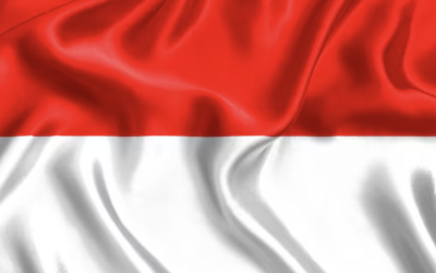 Best SEO Agency in Indonesia