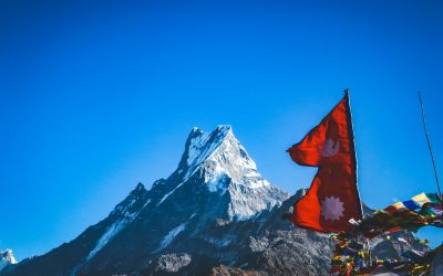 Best SEO Agency in Nepal